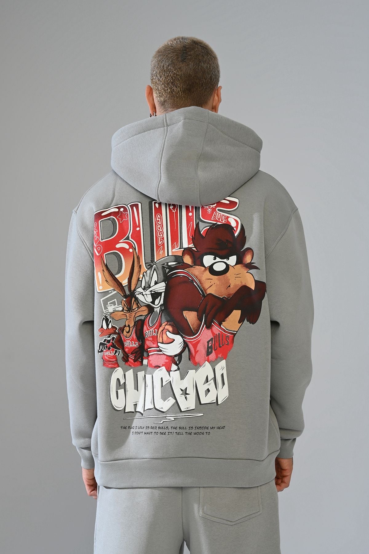 Sweat Capuche Chicago Bulls Gris Cartoon